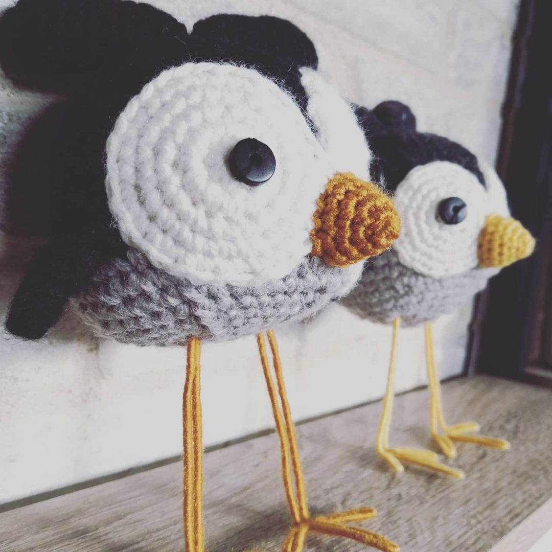 Visuel amigurumi Birds